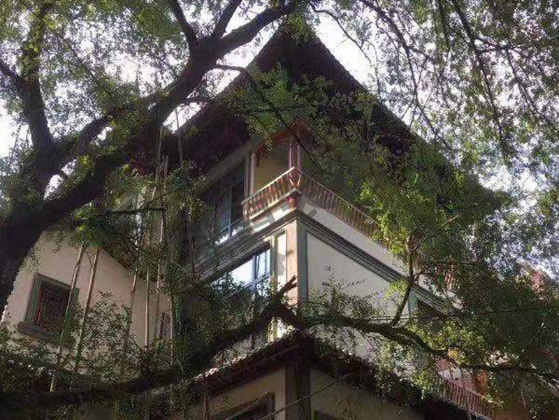 在建工程-31